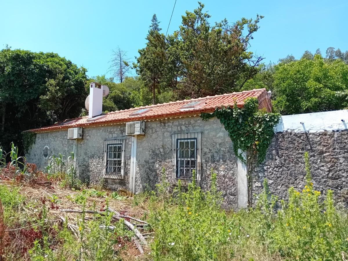 Villa Retiro D'Azenha Almoster Exterior foto